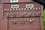 /media/docs/110512_norway/drivehome/dsc_5672.jpg