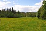 /media/docs/110512_norway/field/dsc_3814.jpg