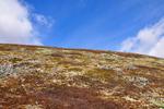 /media/docs/110512_norway/mountain/dsc_5474.jpg