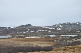 /media/docs/110512_norway/rondane/dsc_5254.jpg