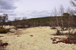 /media/docs/110512_norway/rondane/dsc_5331.jpg