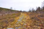 /media/docs/110512_norway/rondane/dsc_5344.jpg