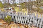 /media/docs/110512_norway/rondane/dsc_5352.jpg