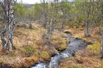 /media/docs/110512_norway/rondane/dsc_5364.jpg