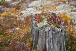 /media/docs/110512_norway/rondane/dsc_5366.jpg