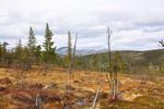 /media/docs/110512_norway/rondane/dsc_5370.jpg