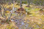 /media/docs/110512_norway/rondane/dsc_5375.jpg