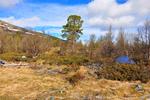 /media/docs/110512_norway/rondane/dsc_5427.jpg