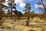 /media/docs/110512_norway/rondane/dsc_5439.jpg