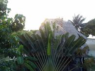 /media/docs/130328_belize/day01/img_20130331_070353.jpg