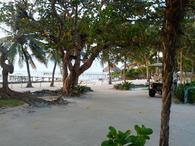 /media/docs/130328_belize/day01/img_20130331_070502.jpg