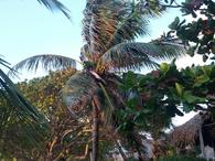 /media/docs/130328_belize/day02/img_20130331_070941.jpg