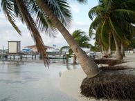 /media/docs/130328_belize/day02/img_20130331_073312.jpg