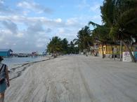 /media/docs/130328_belize/day02/img_20130331_073625.jpg