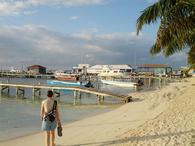 /media/docs/130328_belize/day02/img_20130331_074440.jpg