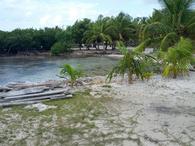 /media/docs/130328_belize/day02/img_20130331_083023.jpg