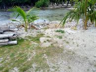 /media/docs/130328_belize/day02/img_20130331_083624.jpg