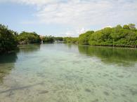 /media/docs/130328_belize/day02/img_20130331_091755.jpg