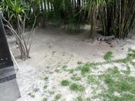 /media/docs/130328_belize/day02/img_20130331_115422.jpg