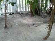 /media/docs/130328_belize/day02/img_20130331_115447.jpg