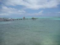 /media/docs/130328_belize/day02/p1010285.jpg