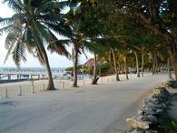 /media/docs/130328_belize/day03/img_20130401_060407.jpg