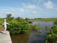 /media/docs/130328_belize/day04/img_20130402_155852.jpg