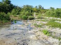 /media/docs/130328_belize/day04/img_20130402_164050.jpg