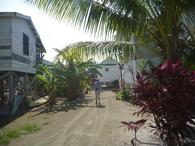 /media/docs/130328_belize/day04/p1010316.jpg