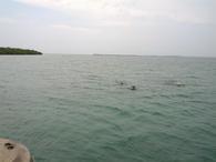 /media/docs/130328_belize/day06/img_20130404_151411.jpg