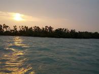 /media/docs/130328_belize/day07/img_20130405_062247.jpg