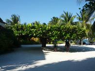 /media/docs/130328_belize/day09/img_20130407_161545.jpg