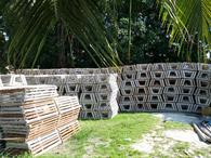 /media/docs/130328_belize/day10/img_20130408_152550.jpg