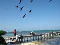 /media/docs/130328_belize/day10/img_20130408_153335.jpg