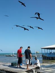 /media/docs/130328_belize/day10/img_20130408_153603.jpg