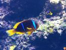 /media/docs/150718_monaco/0707_the_monaco_aquarium/img_20150707_134454.jpg