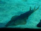 /media/docs/150718_monaco/0707_the_monaco_aquarium/img_20150707_134853.jpg