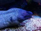 /media/docs/150718_monaco/0707_the_monaco_aquarium/img_20150707_140623.jpg