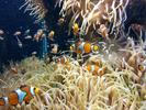 /media/docs/150718_monaco/0707_the_monaco_aquarium/img_20150707_144242.jpg