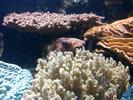 /media/docs/150718_monaco/0707_the_monaco_aquarium/img_20150707_144356.jpg