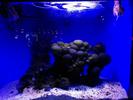 /media/docs/150718_monaco/0707_the_monaco_aquarium/img_20150707_145229.jpg