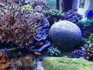 /media/docs/150718_monaco/0707_the_monaco_aquarium/img_20150707_182247.jpg