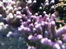 /media/docs/150718_monaco/0707_the_monaco_aquarium/img_20150707_182355.jpg