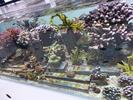 /media/docs/150718_monaco/0707_the_monaco_aquarium/img_20150707_182403.jpg