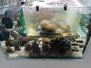 /media/docs/150718_monaco/0707_the_monaco_aquarium/img_20150707_182432.jpg