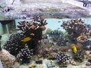 /media/docs/150718_monaco/0707_the_monaco_aquarium/img_20150707_182439.jpg